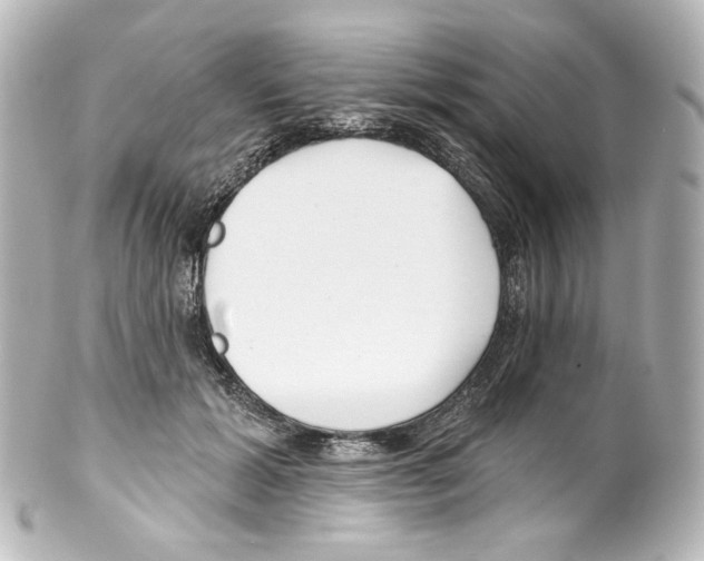 X0000100200605200806271643