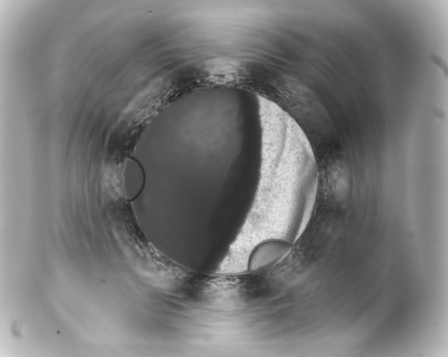 X0000100200606200806271643