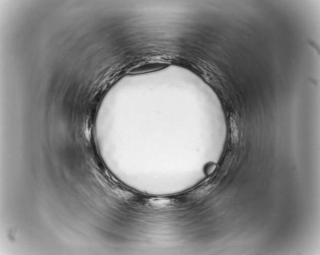 X0000100200607200806271643