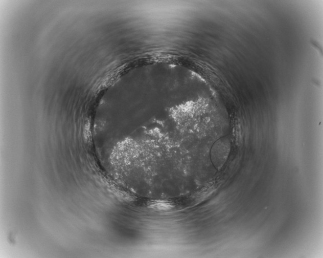 X0000100200610200806271643