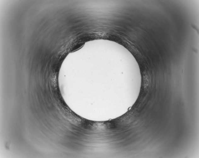 X0000100200613200806271643