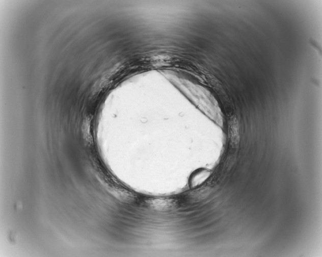 X0000100200615200806271643