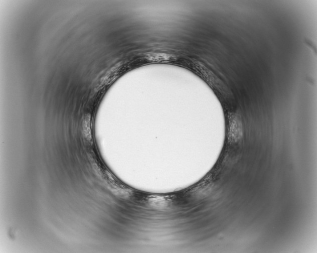 X0000100200616200806271643