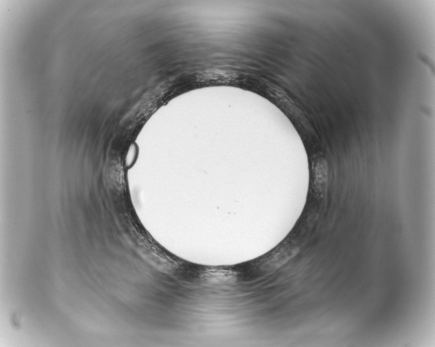 X0000100200617200806271643