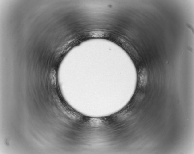 X0000100200620200806271643