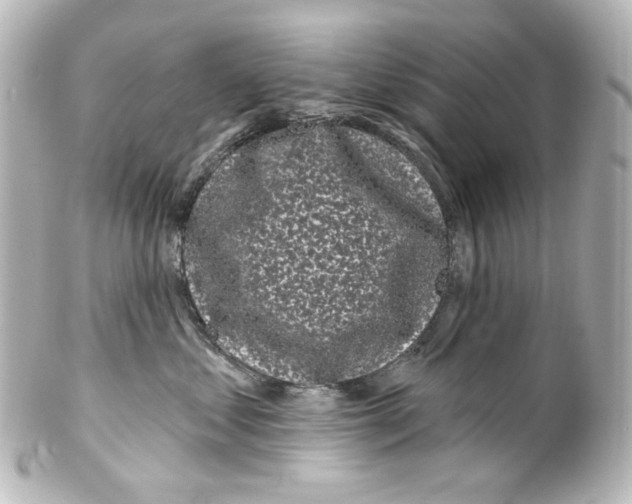 X0000100200621200806271643