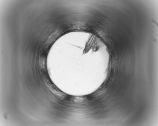 X0000100200623200806271643