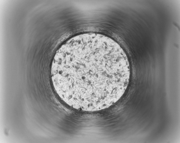 X0000100200625200806271642