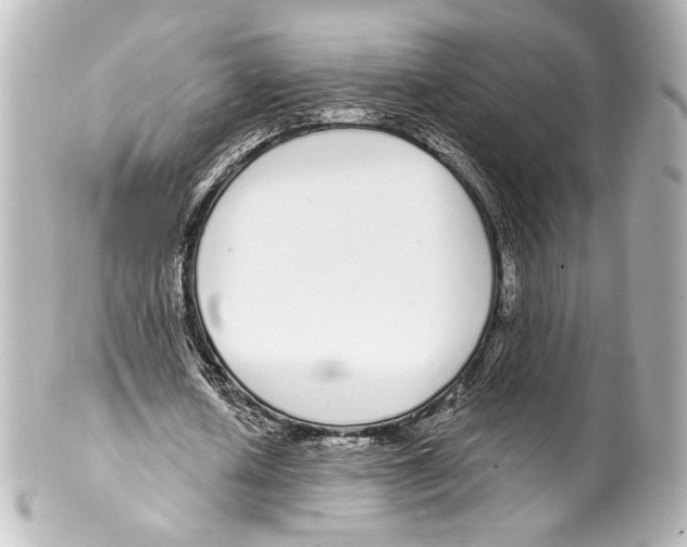 X0000100200626200806271642