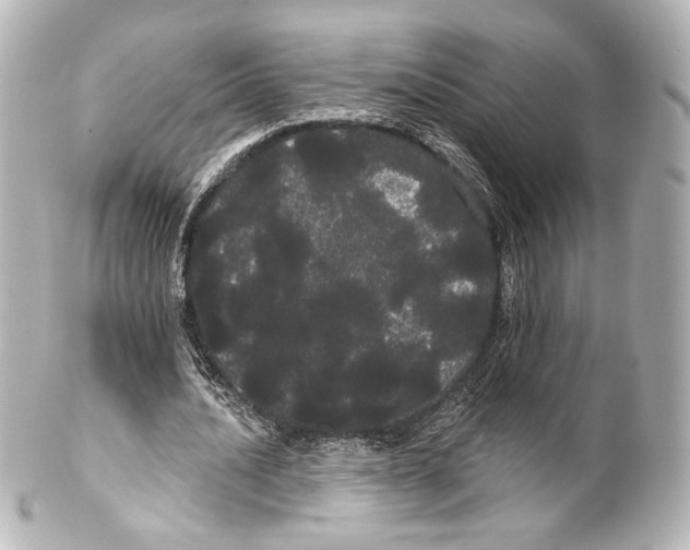 X0000100200628200806271642