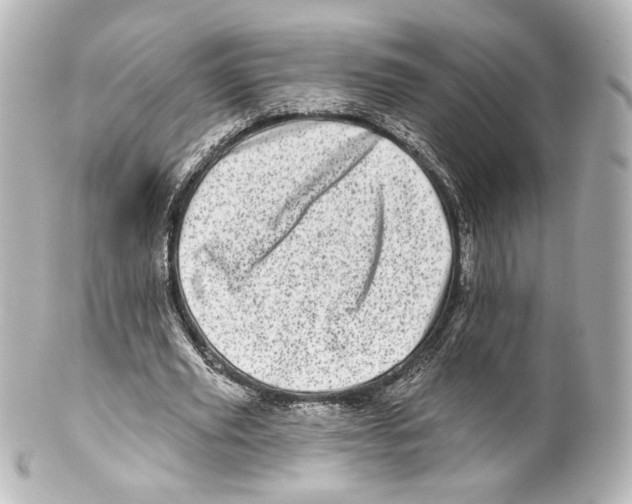 X0000100200629200806271642