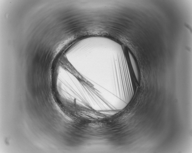 X0000100200630200806271642