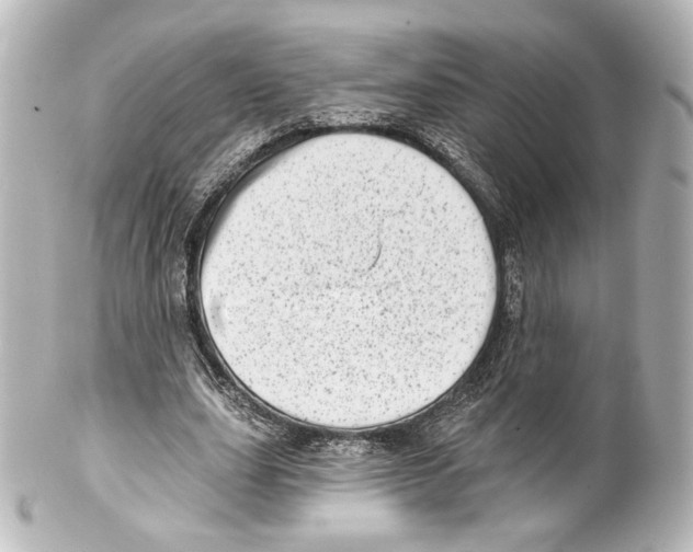 X0000100200631200806271642