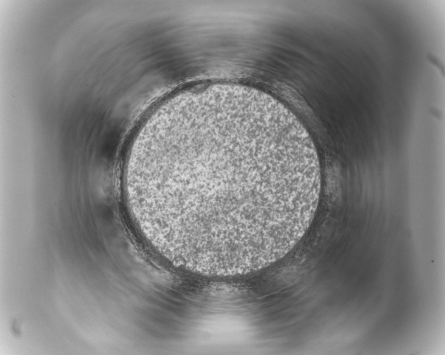 X0000100200632200806271642