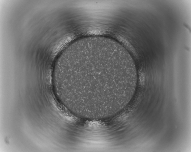 X0000100200635200806271642