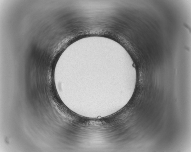 X0000100200636200806271642