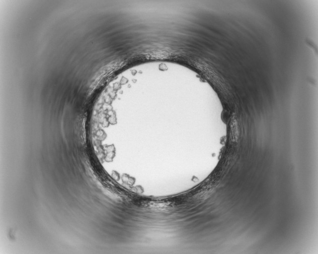 X0000100200638200806271642