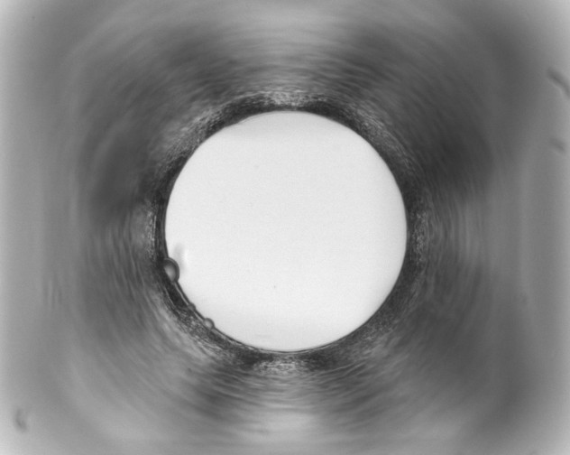 X0000100200639200806271642