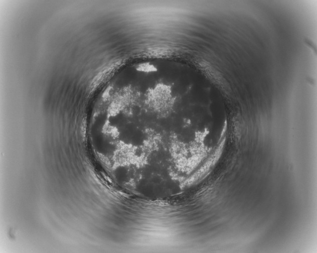 X0000100200640200806271642