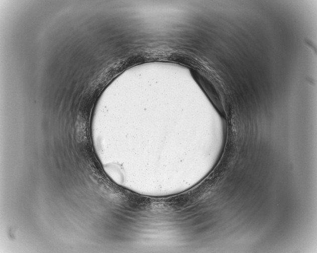 X0000100200641200806271642