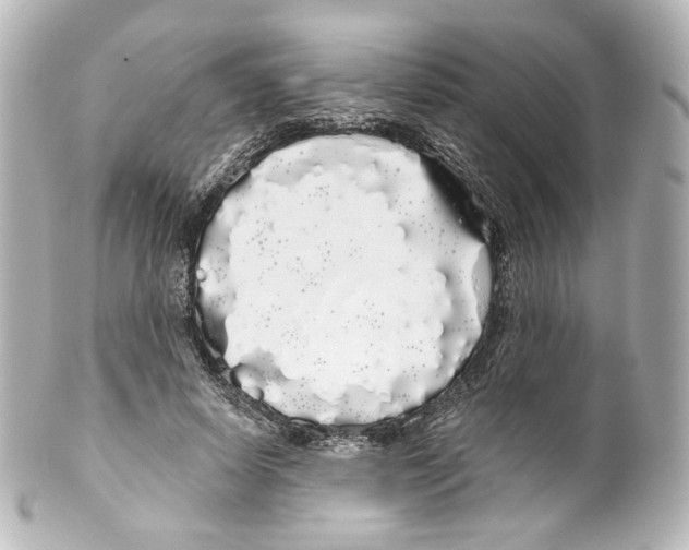 X0000100200642200806271643