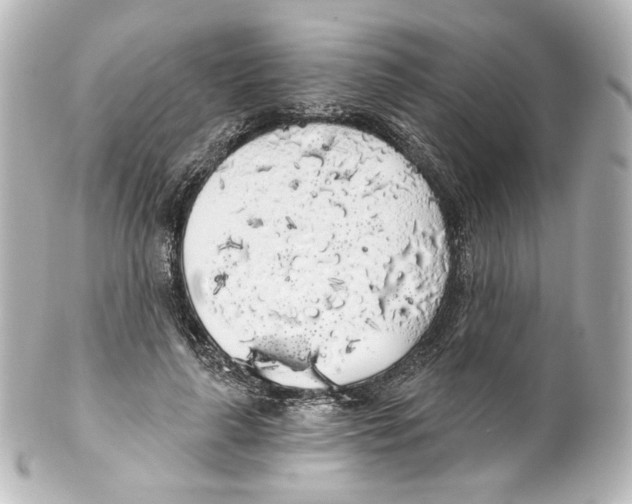 X0000100200643200806271643