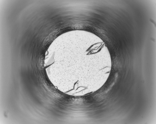 X0000100200645200806271643