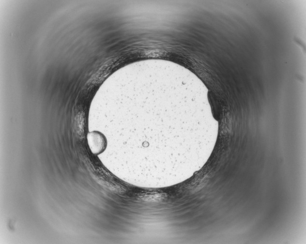 X0000100200646200806271643