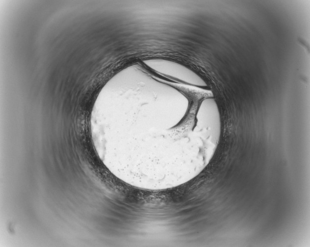 X0000100200647200806271643