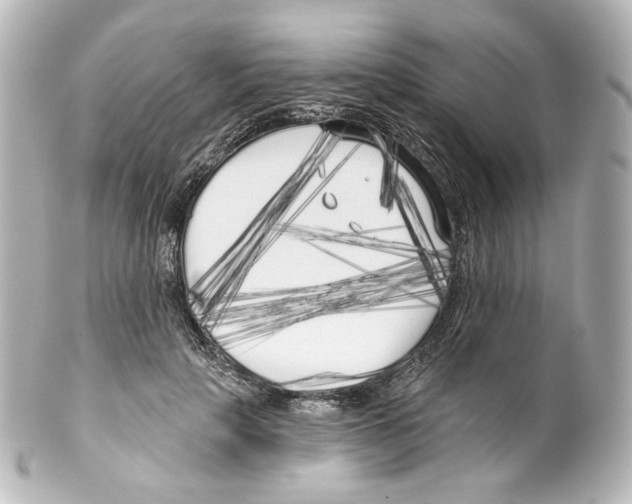 X0000100200649200806271643
