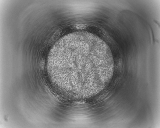 X0000100200651200806271643