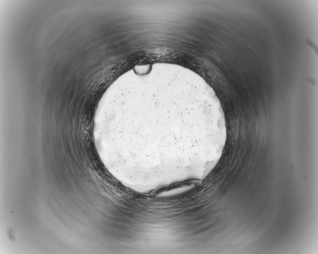 X0000100200653200806271643