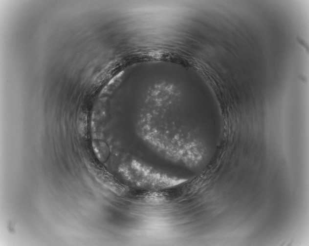 X0000100200656200806271643