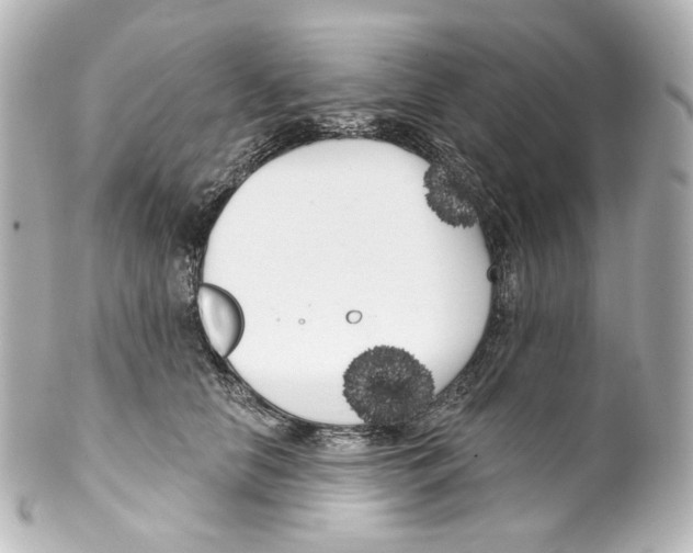 X0000100200658200806271643