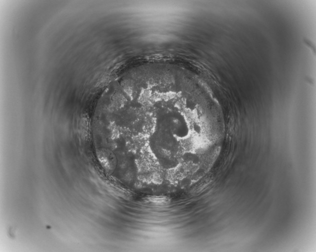 X0000100200659200806271643