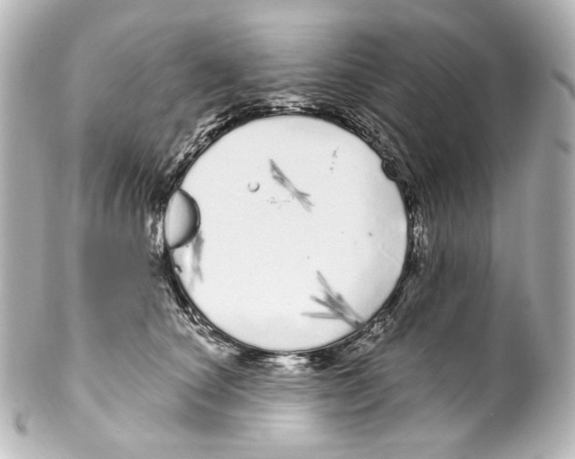 X0000100200660200806271643