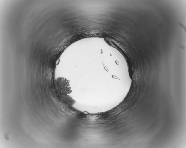 X0000100200662200806271643