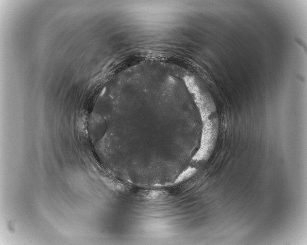 X0000100200663200806271643