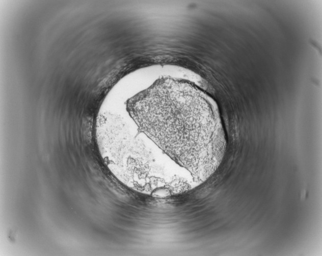 X0000100200664200806271643