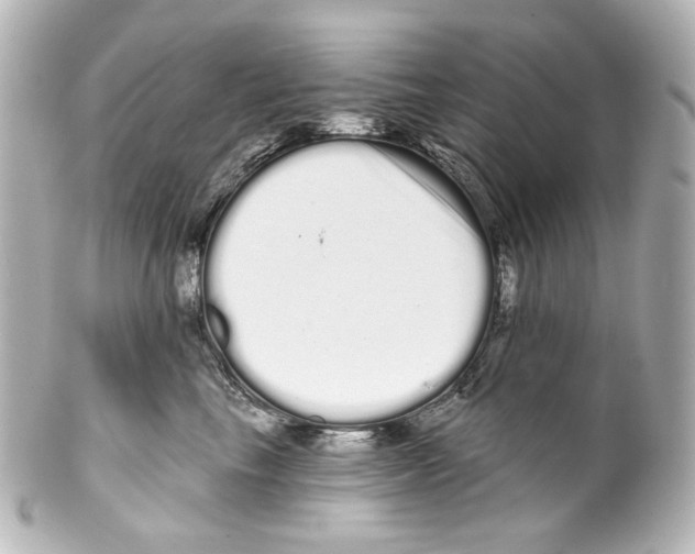 X0000100200665200806271643