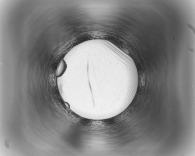 X0000100200666200806271643