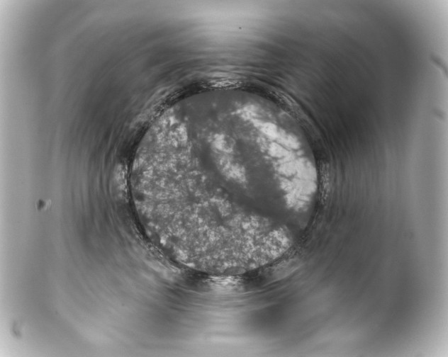 X0000100200667200806271643