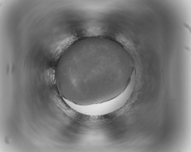 X0000100200672200806271643