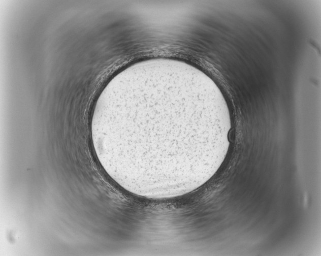 X0000100200673200806271642