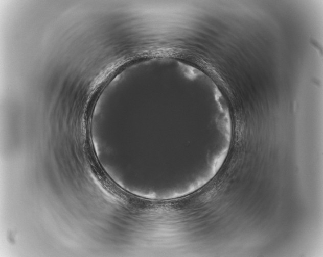 X0000100200674200806271642