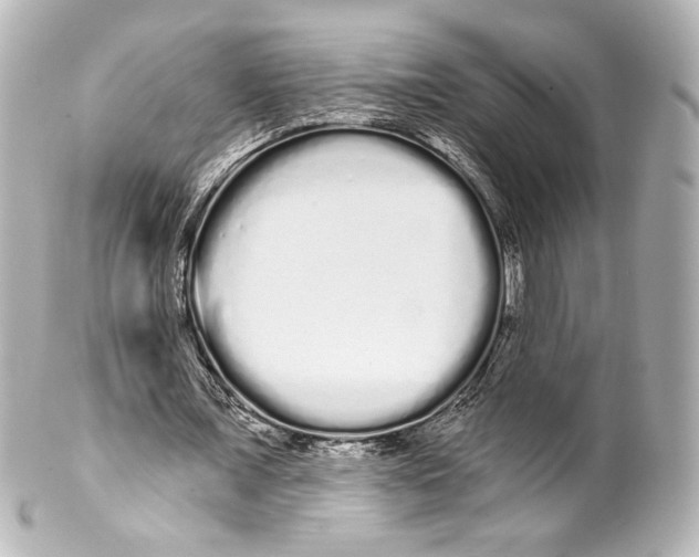 X0000100200675200806271642