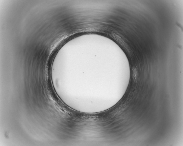 X0000100200676200806271642