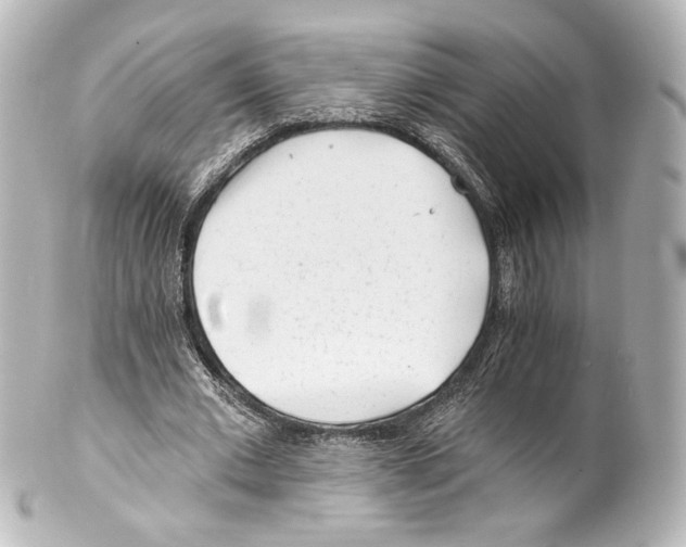 X0000100200677200806271642