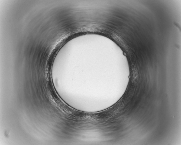 X0000100200680200806271642