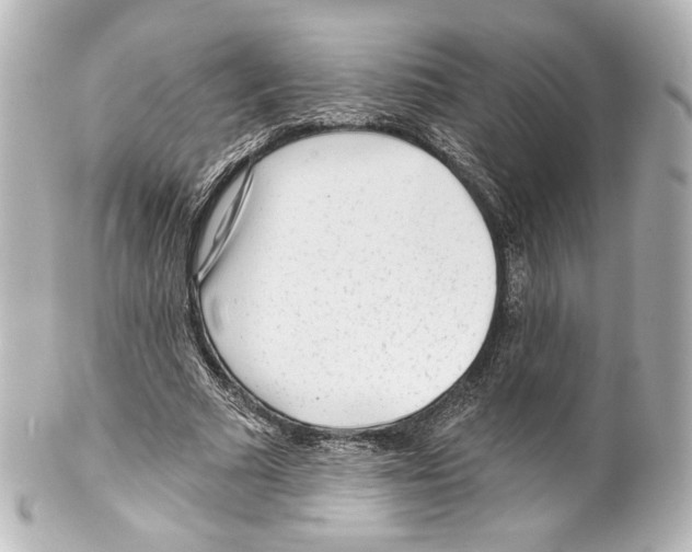 X0000100200681200806271642